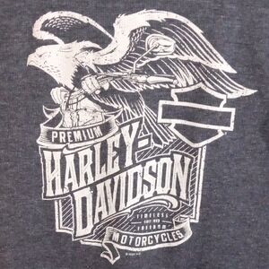 Harley-Davidson Gray Long Sleeve Eagle Tee Men’s Large